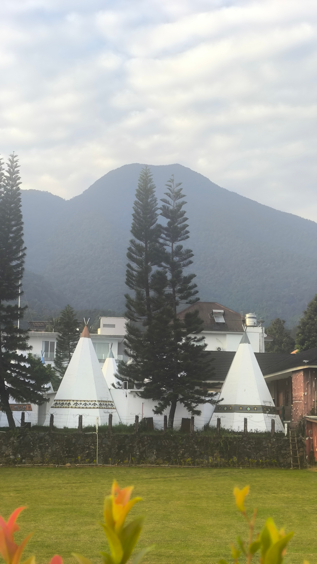 userImage-12