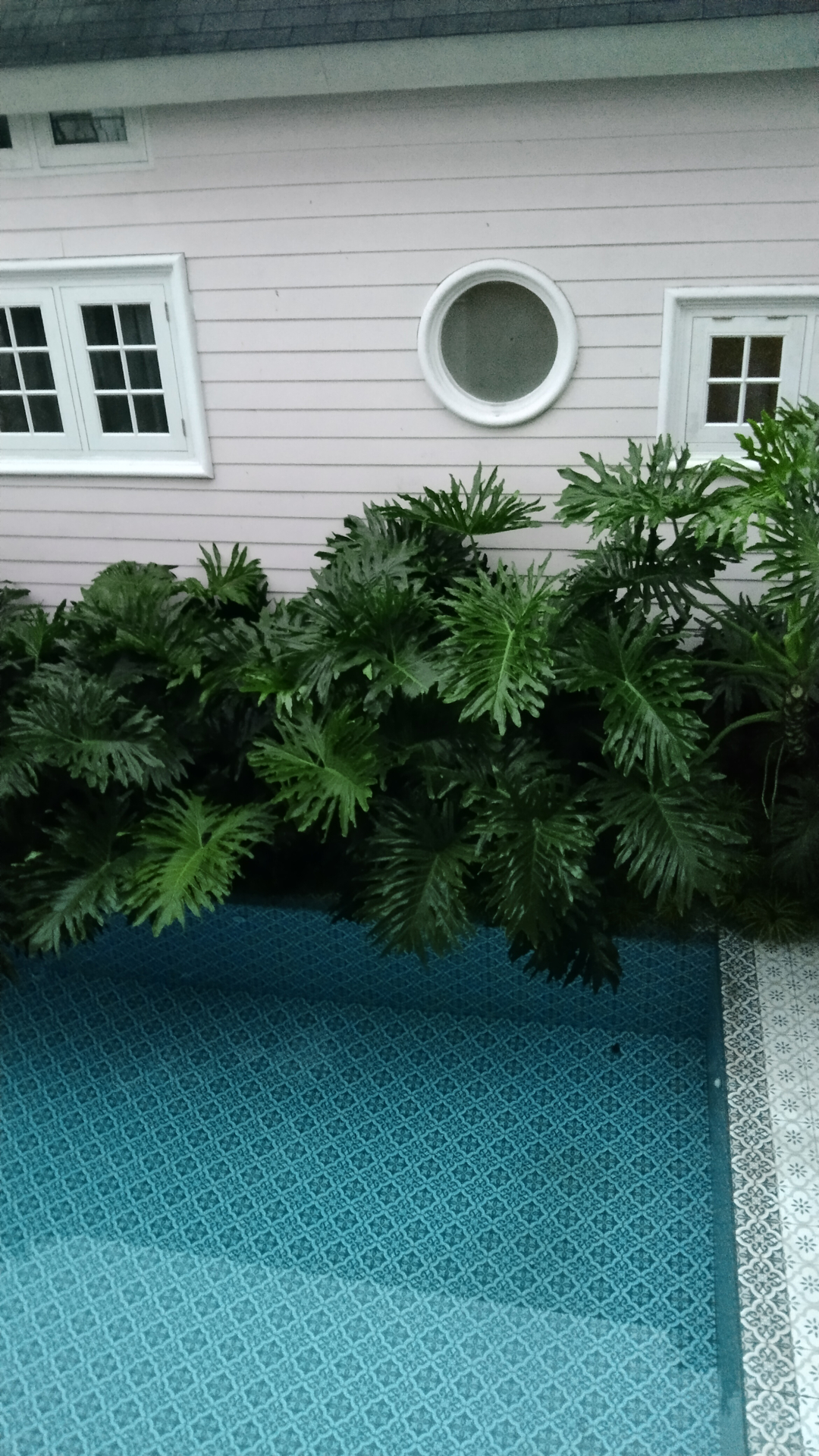 userImage-1