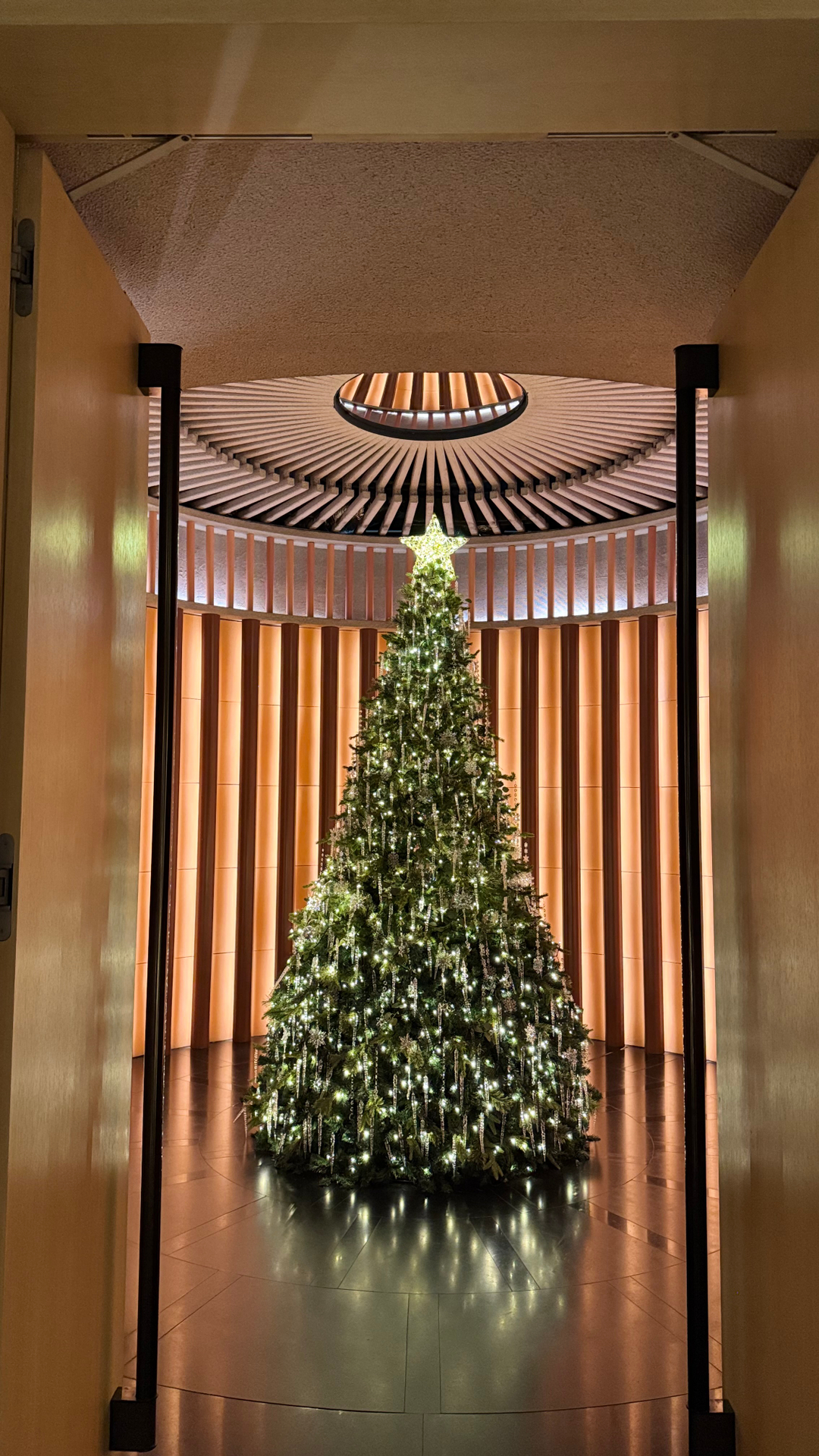 userImage-1