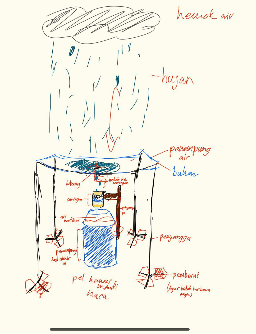 userImage-11