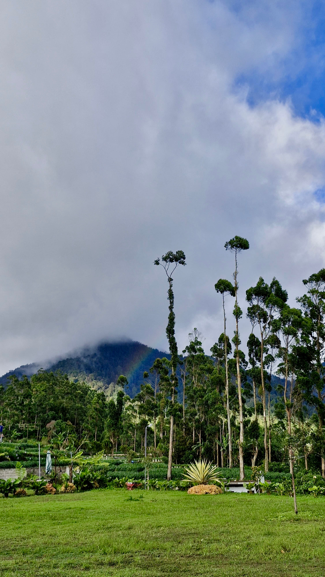 userImage-7