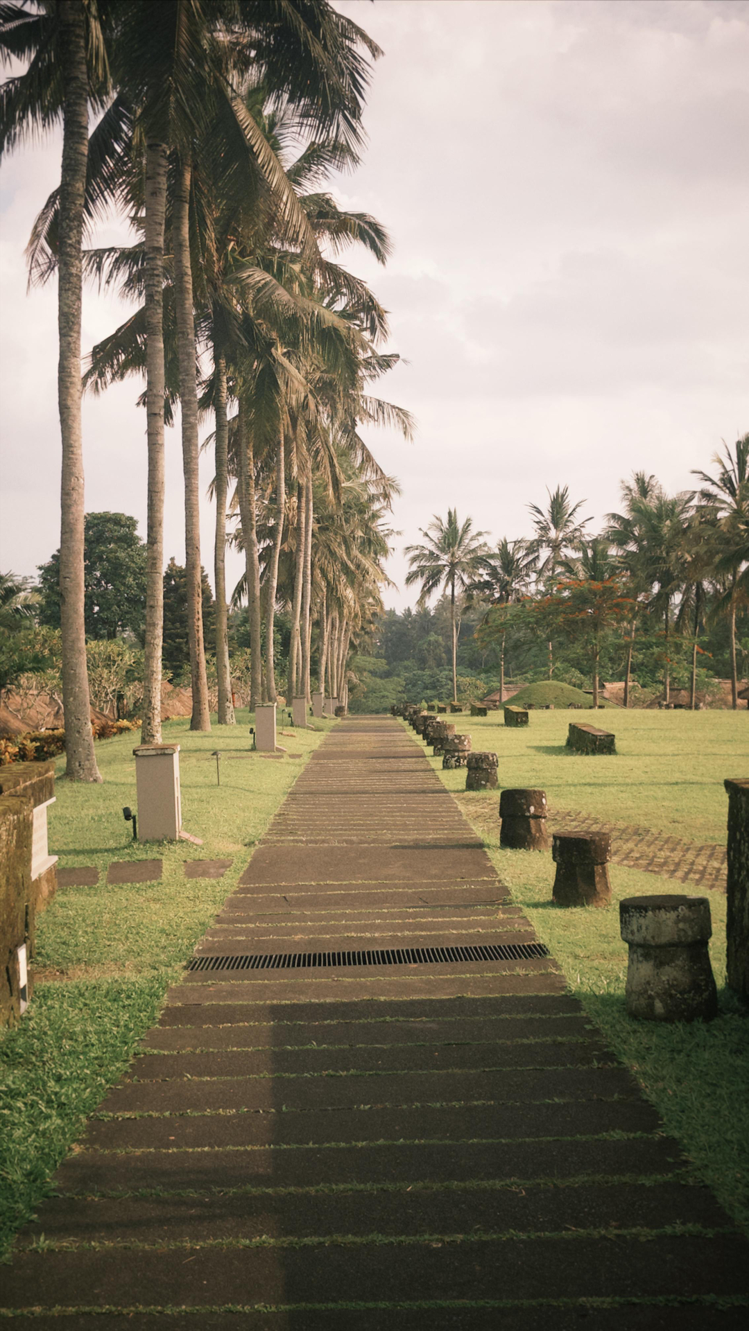 userImage-1