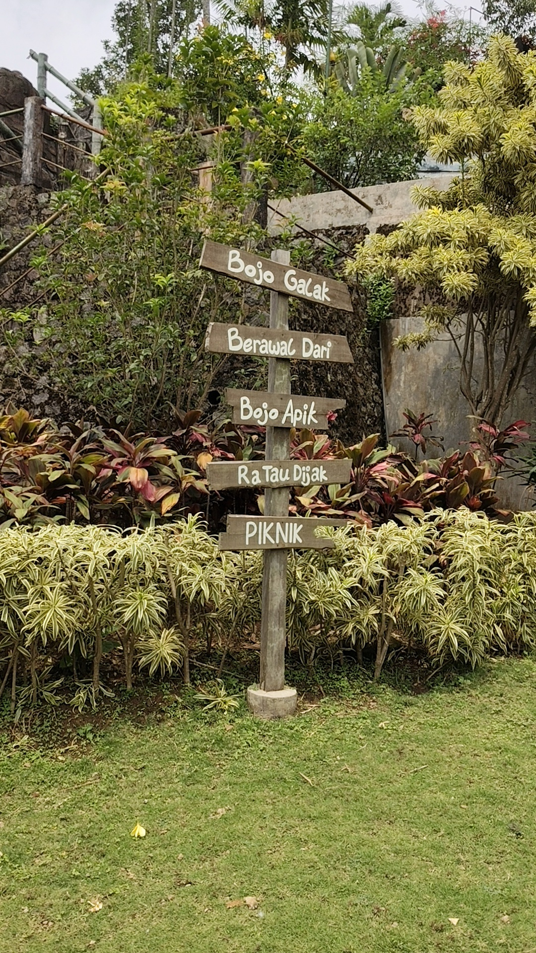 userImage-11