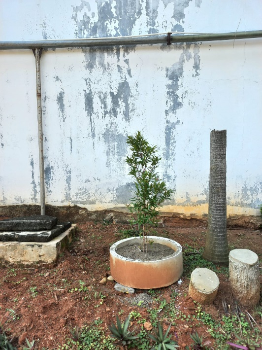 userImage-18