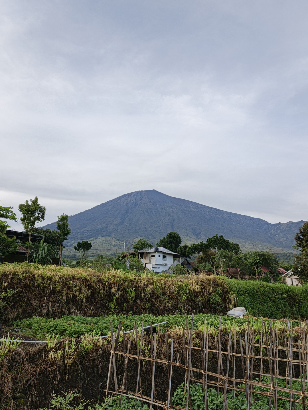 userImage-2