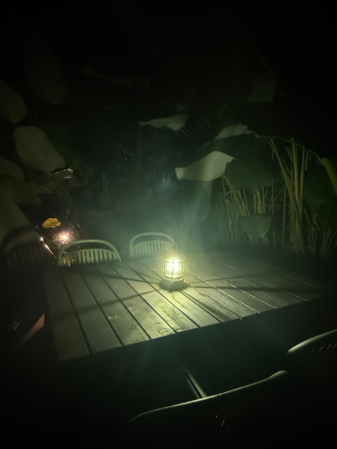userImage-16