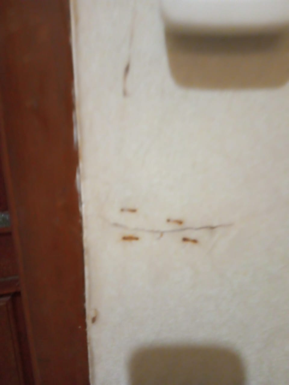 userImage-2