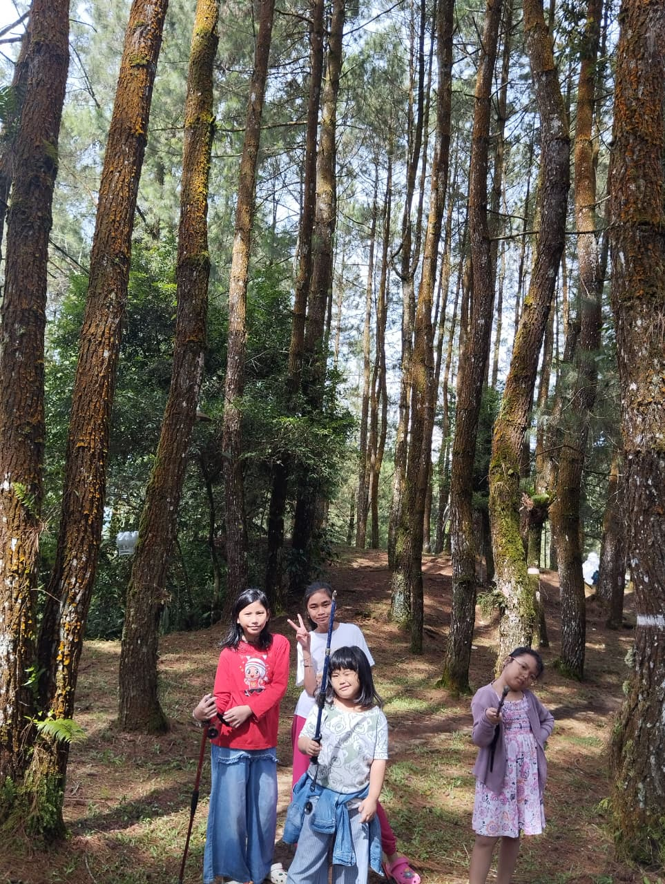 userImage-7