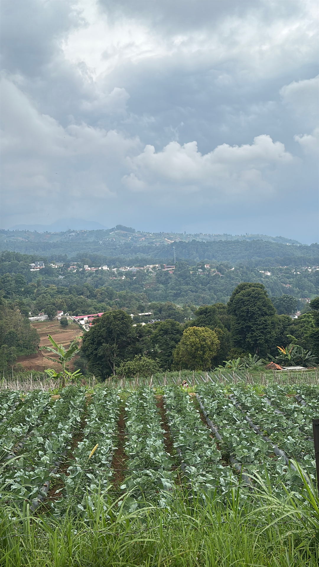 userImage-2
