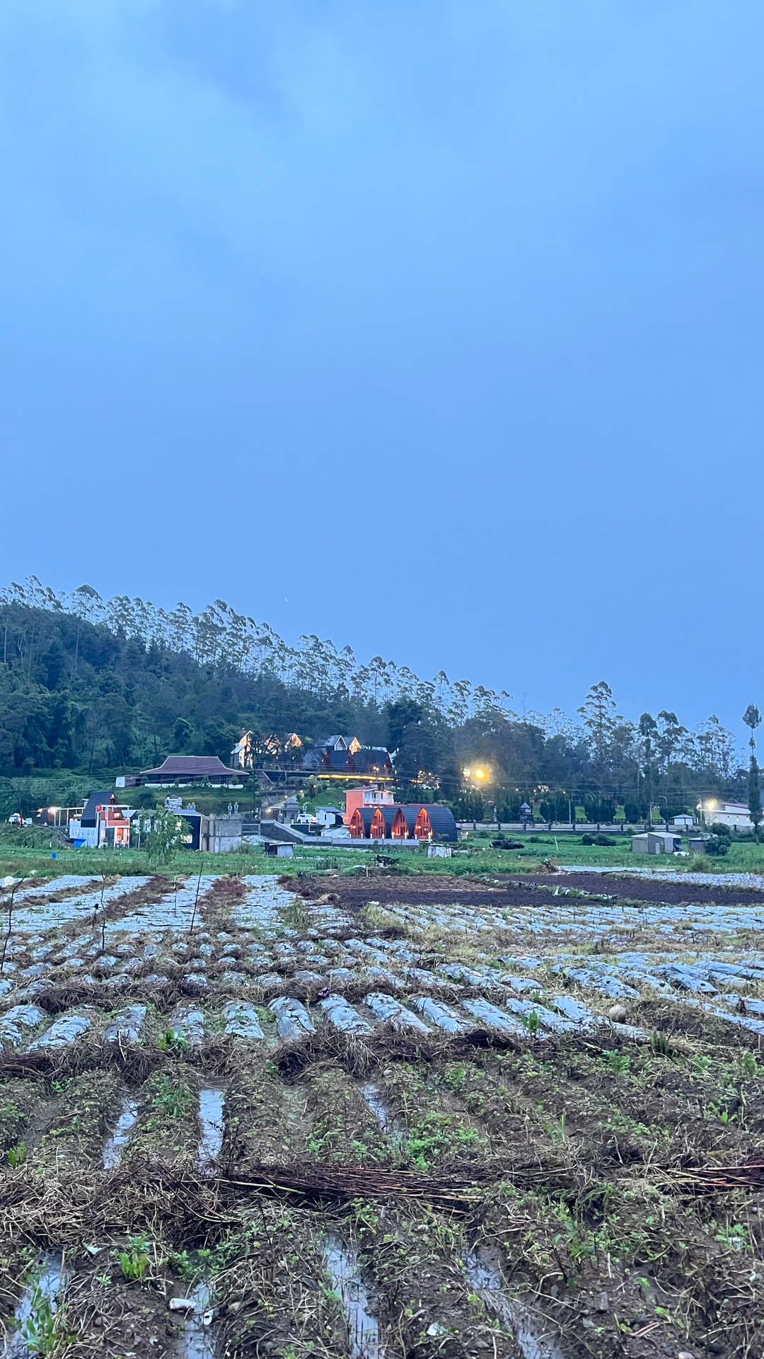 userImage-11