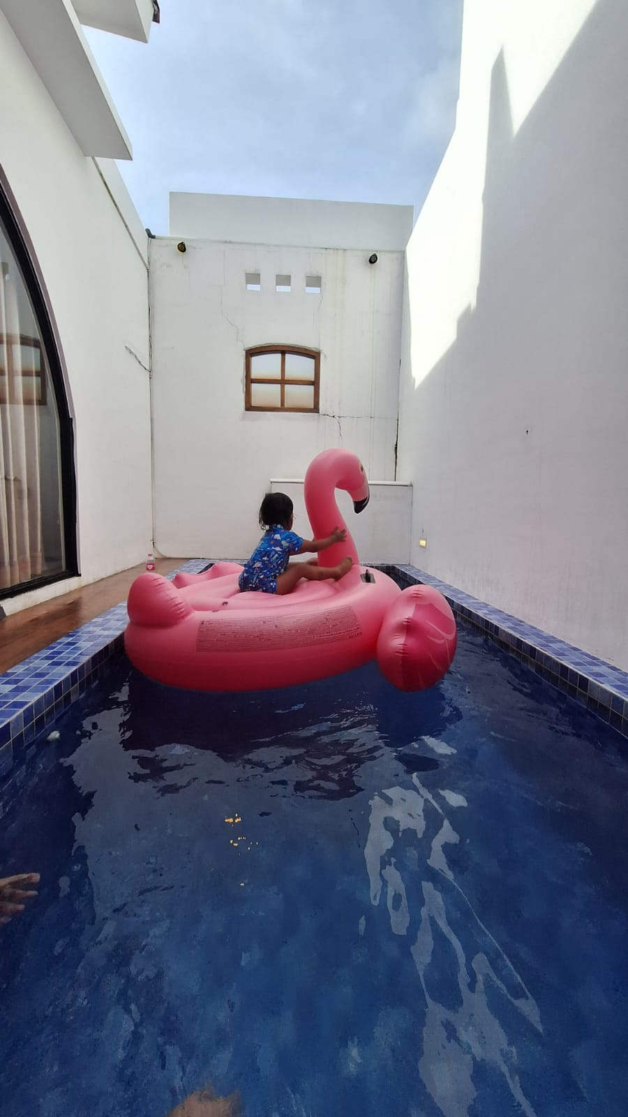 userImage-6