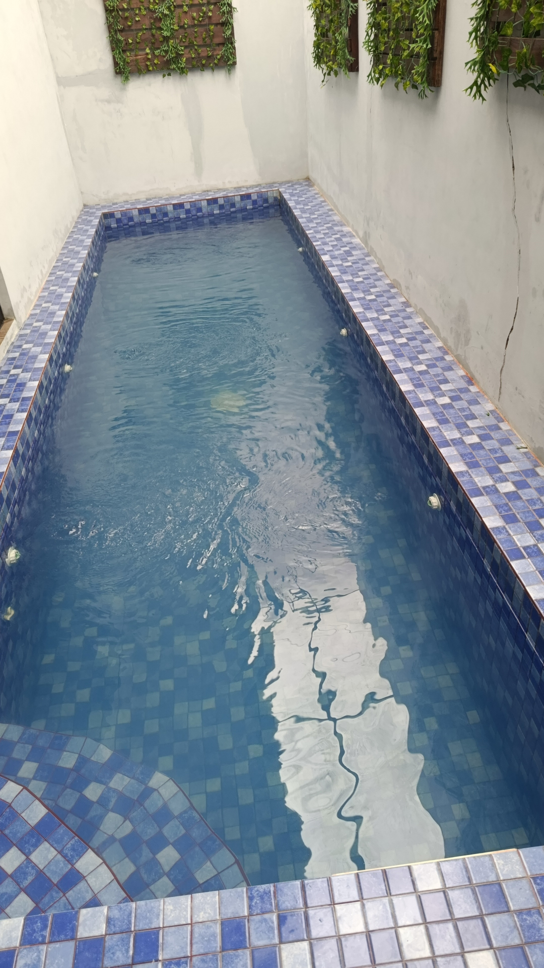 userImage-1