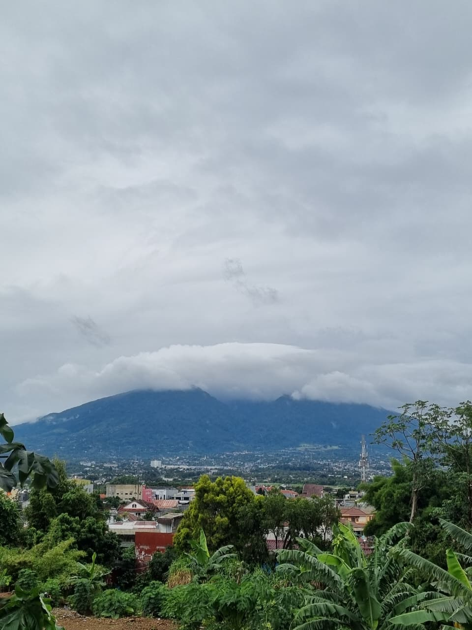 userImage-7