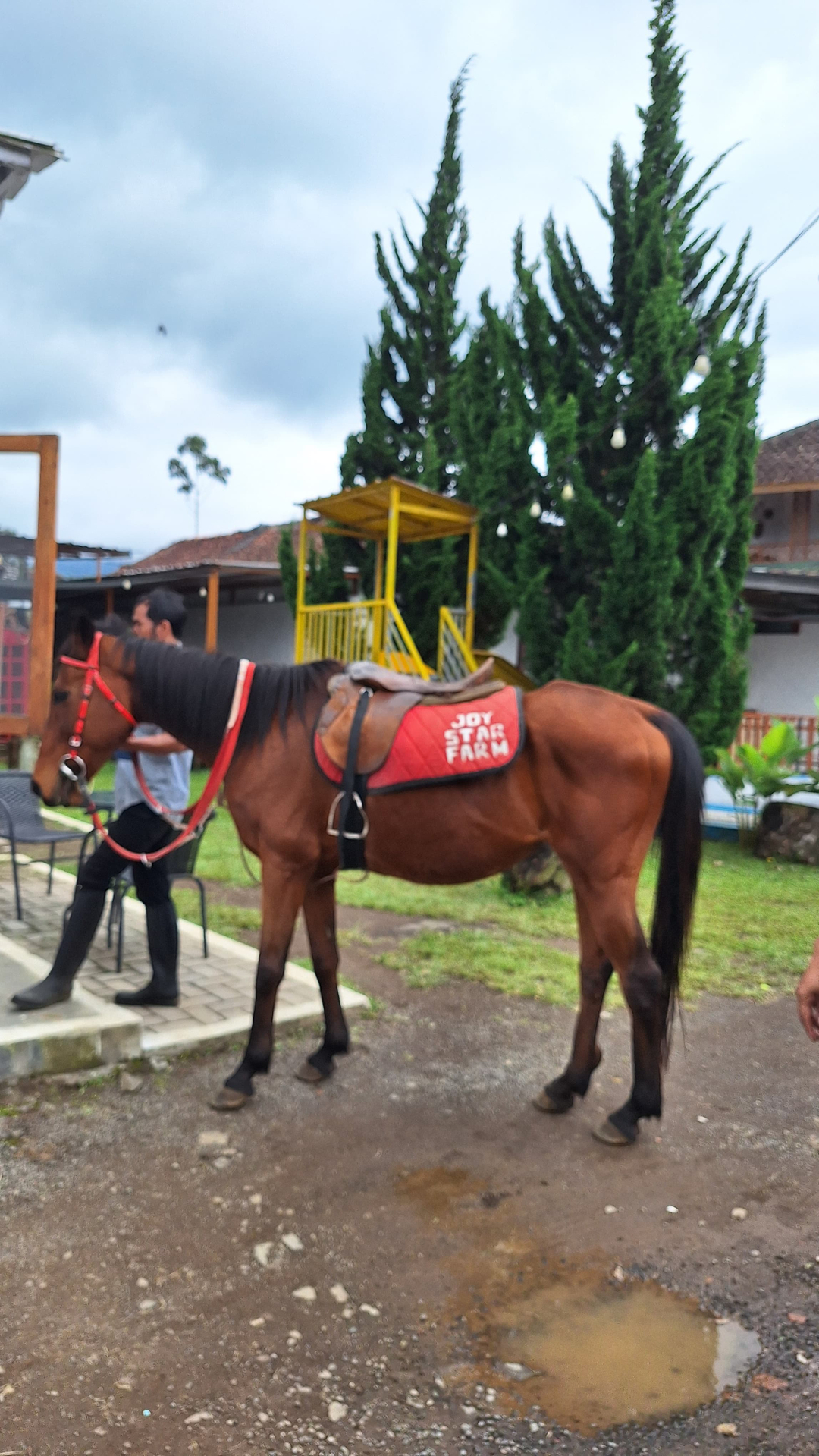 userImage-14