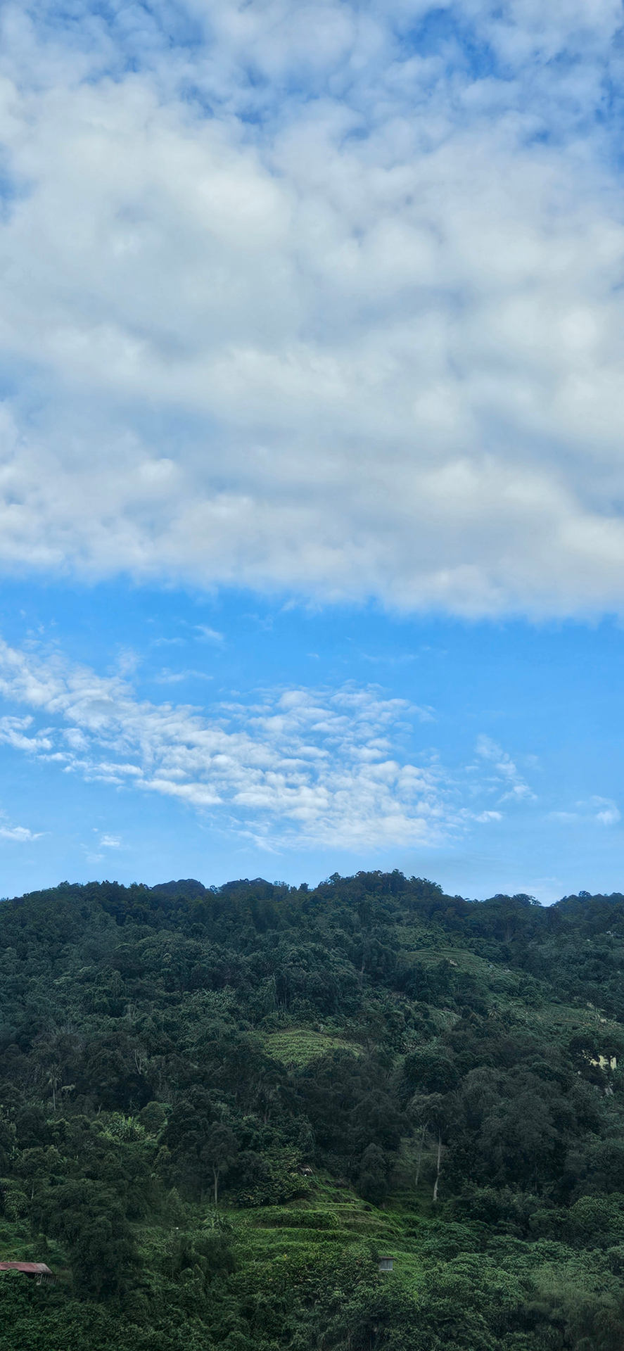 userImage-11