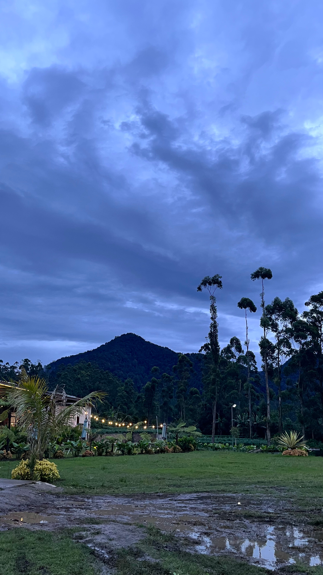 userImage-15