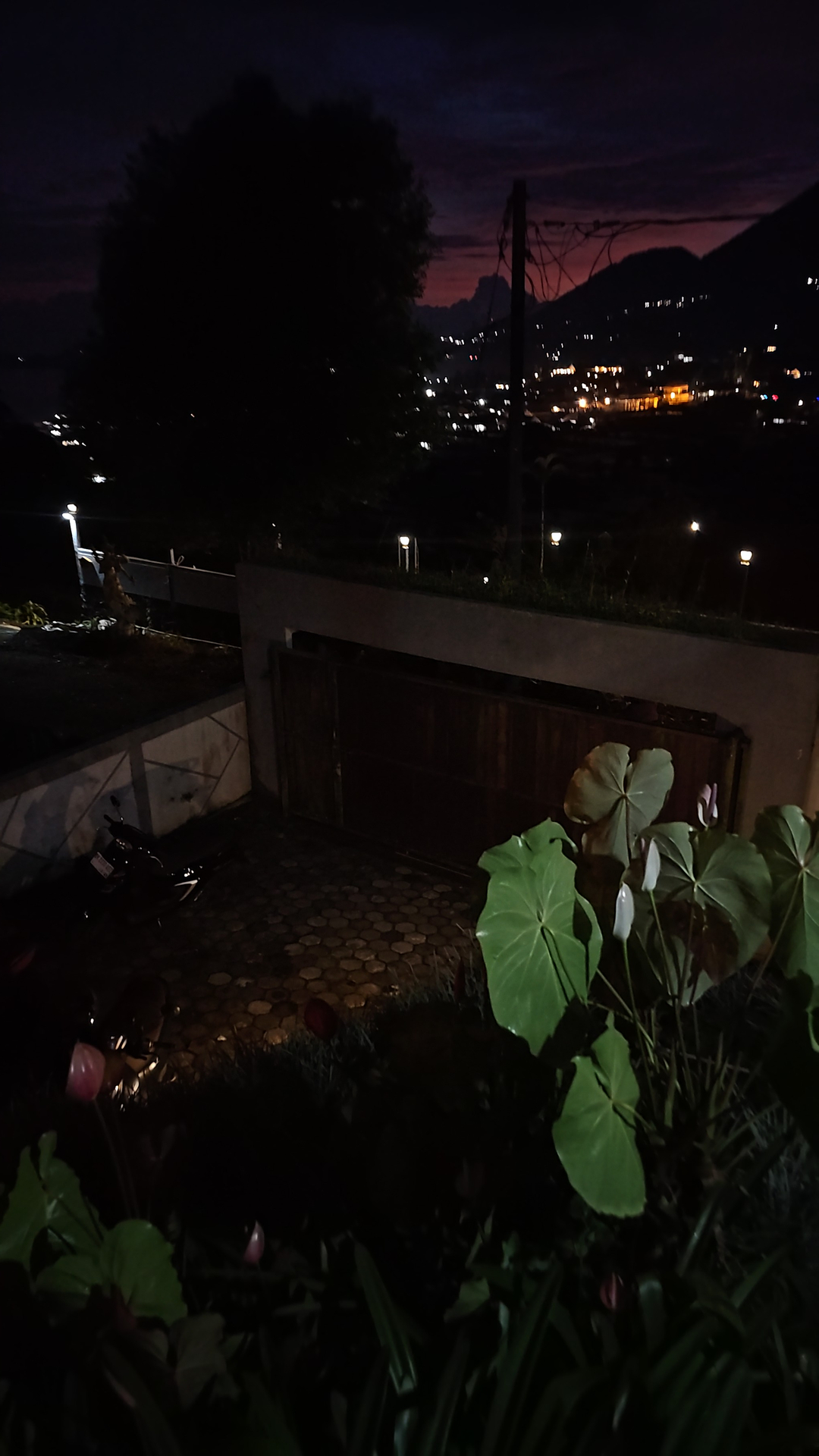 userImage-1