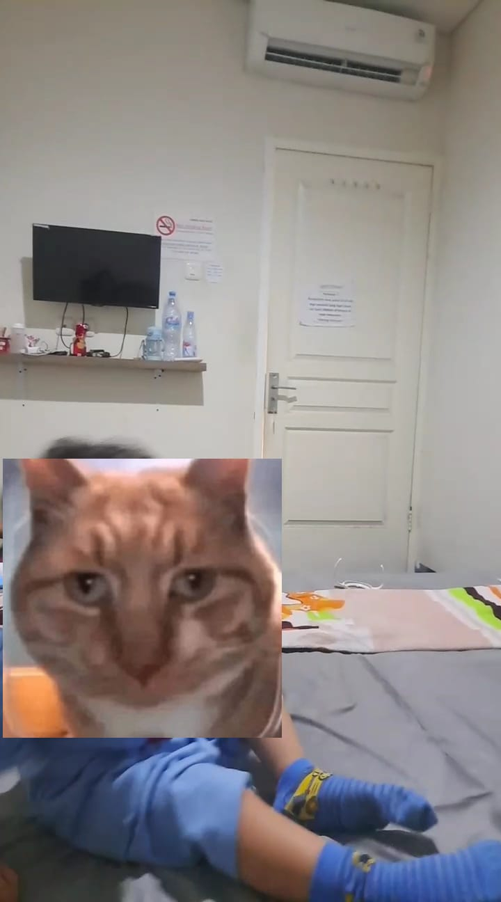 userImage-1