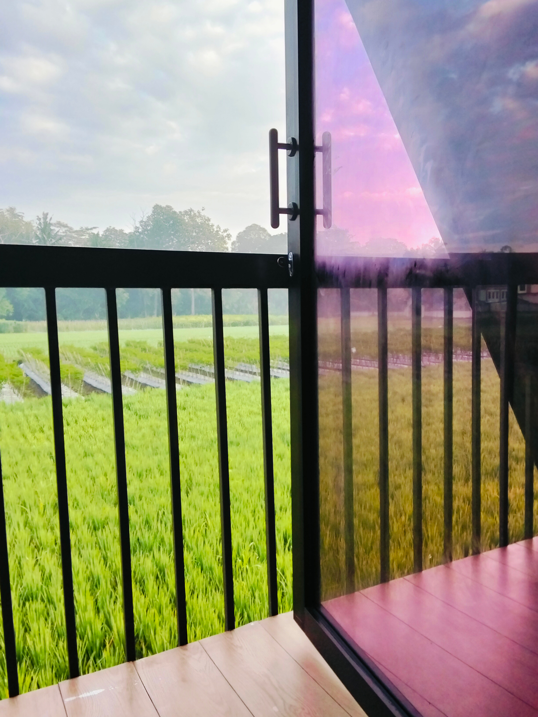 userImage-0