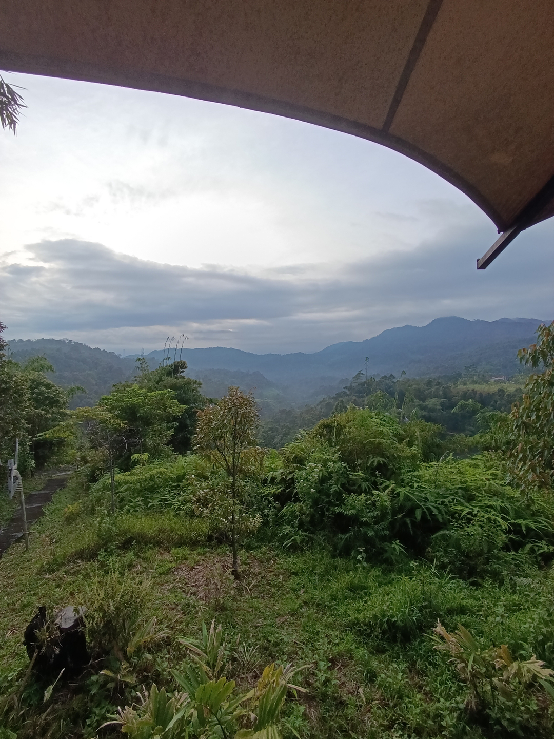 userImage-7