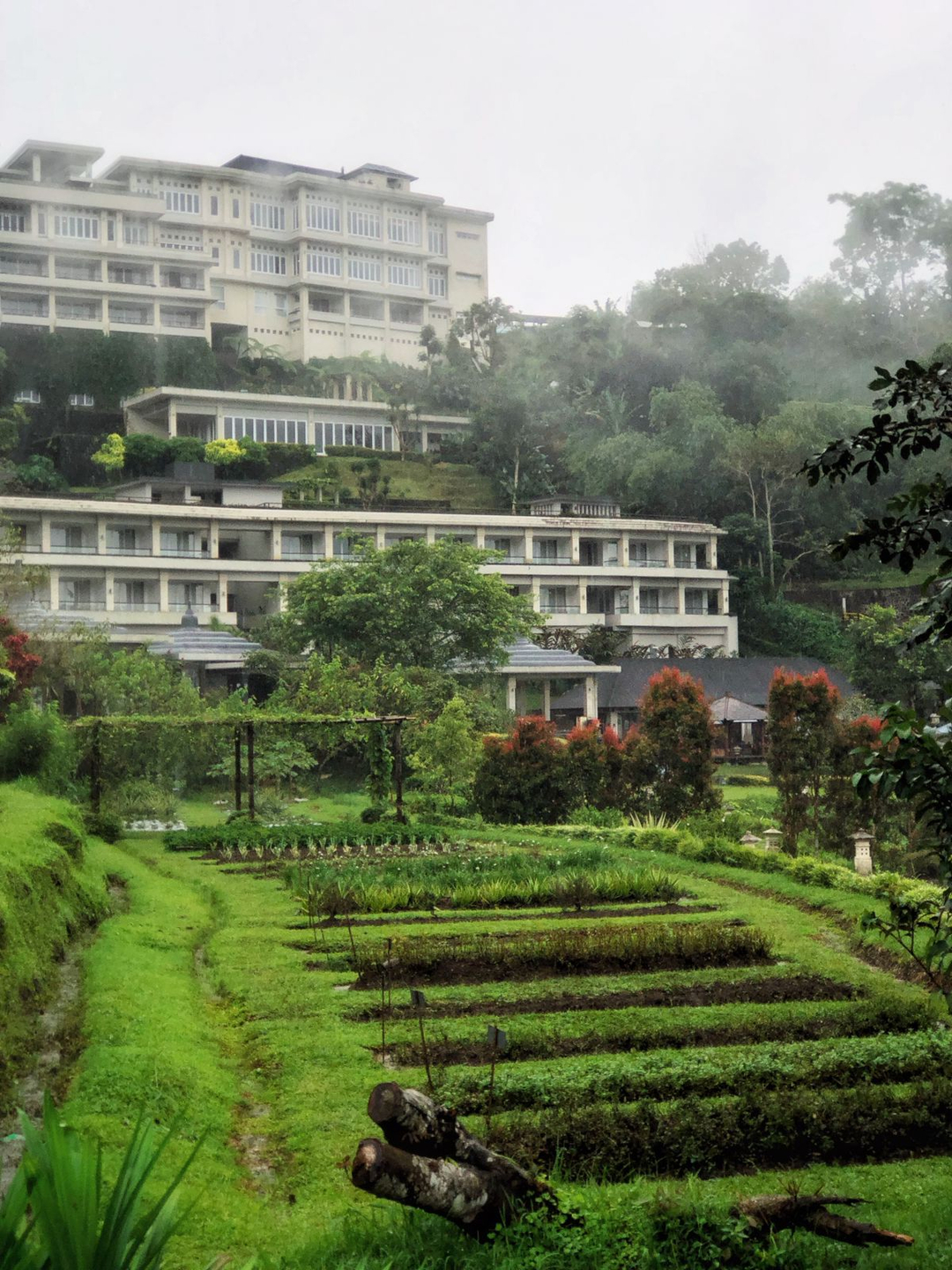 userImage-4