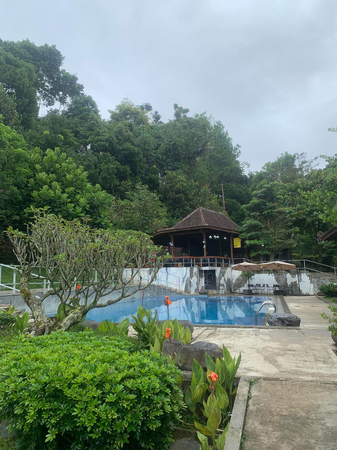 userImage-1