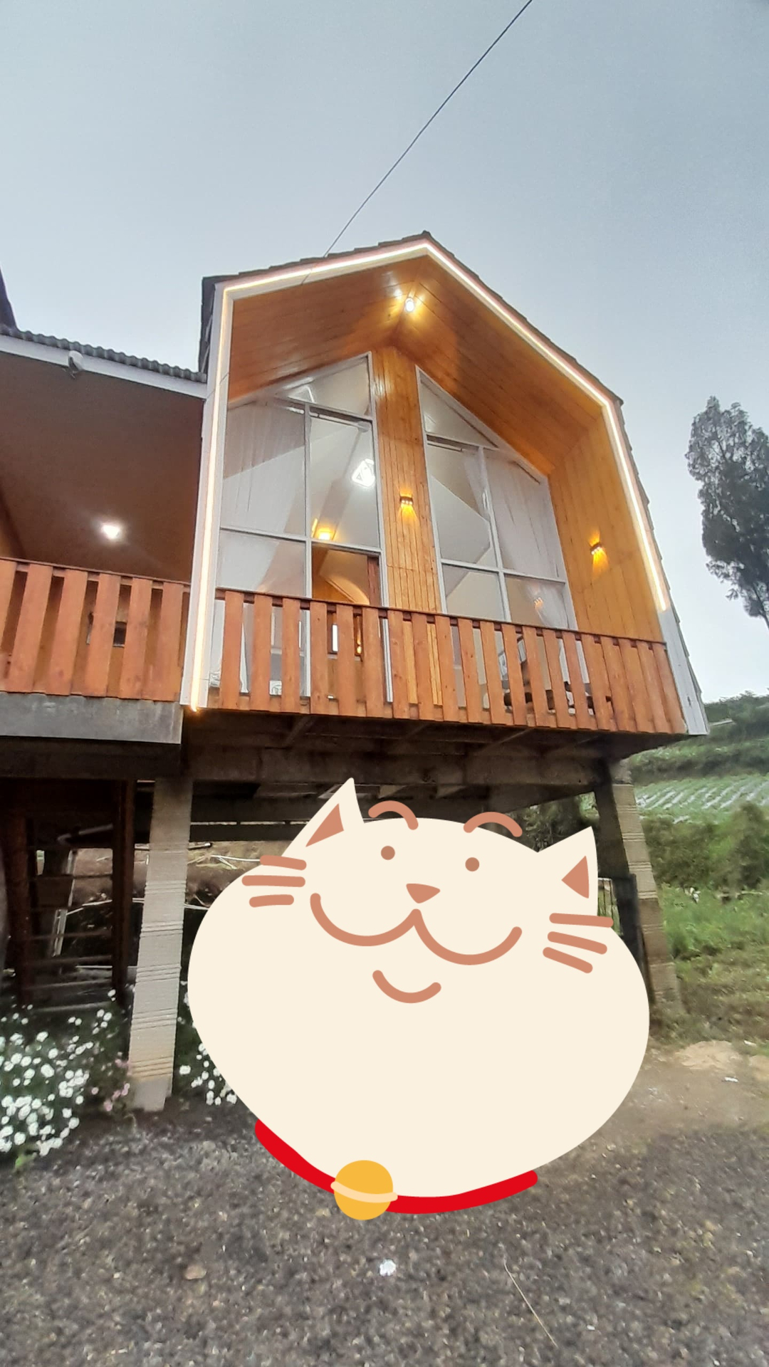 userImage-5