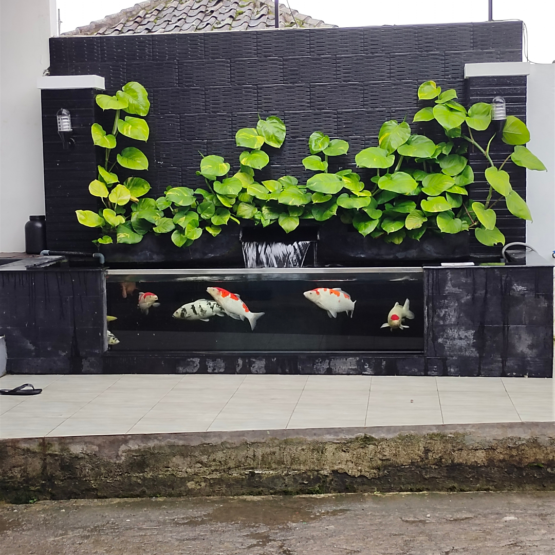 userImage-8