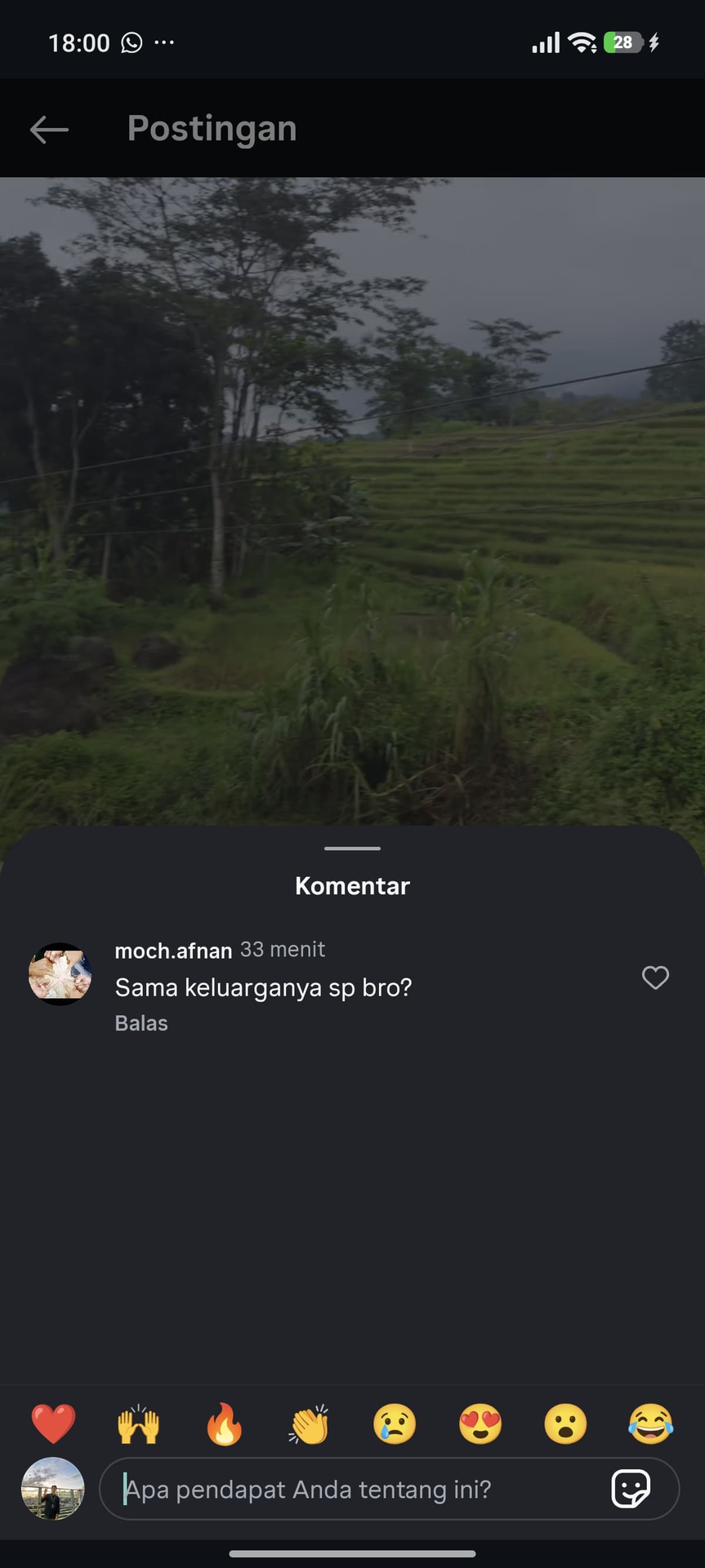 userImage-11