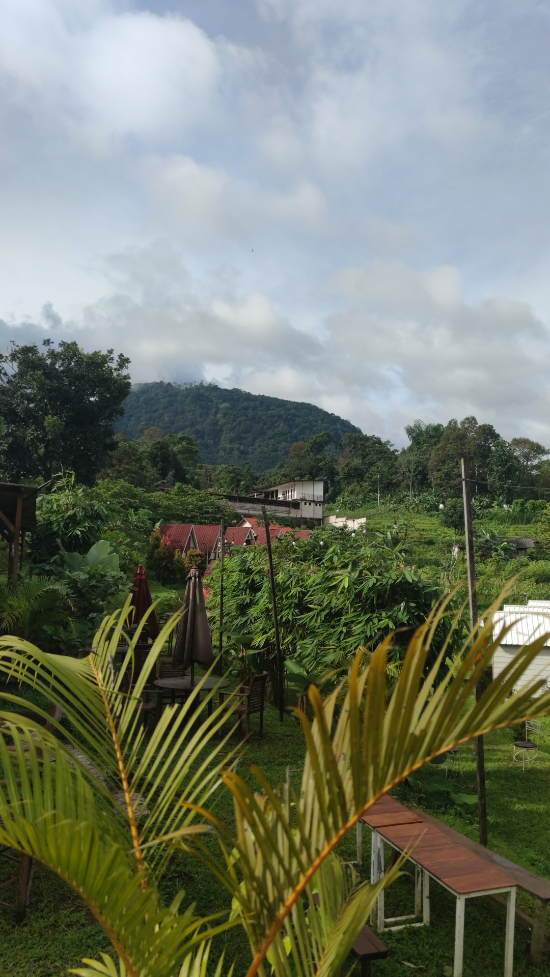userImage-1