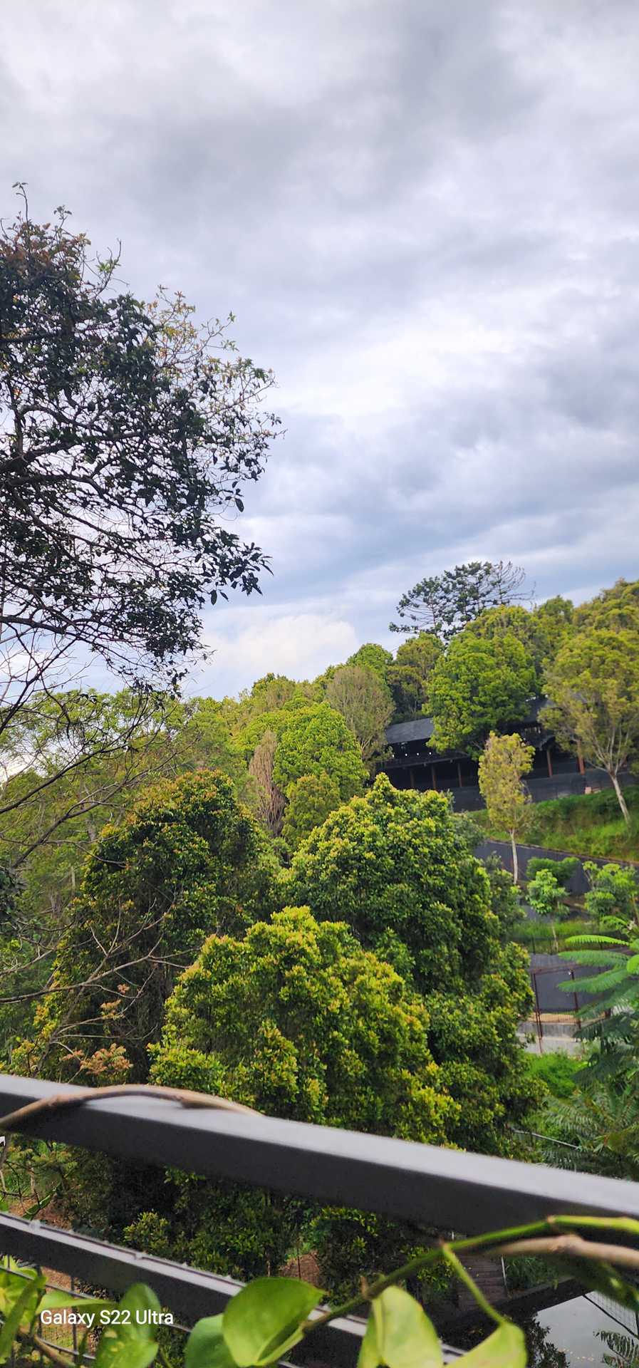 userImage-6