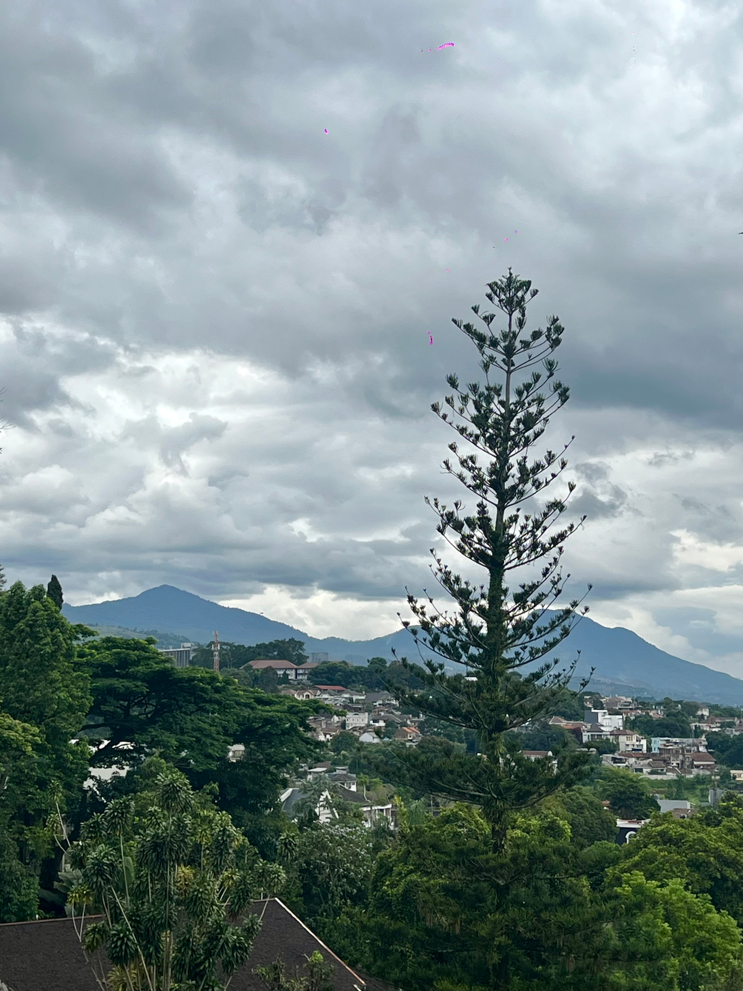 userImage-13