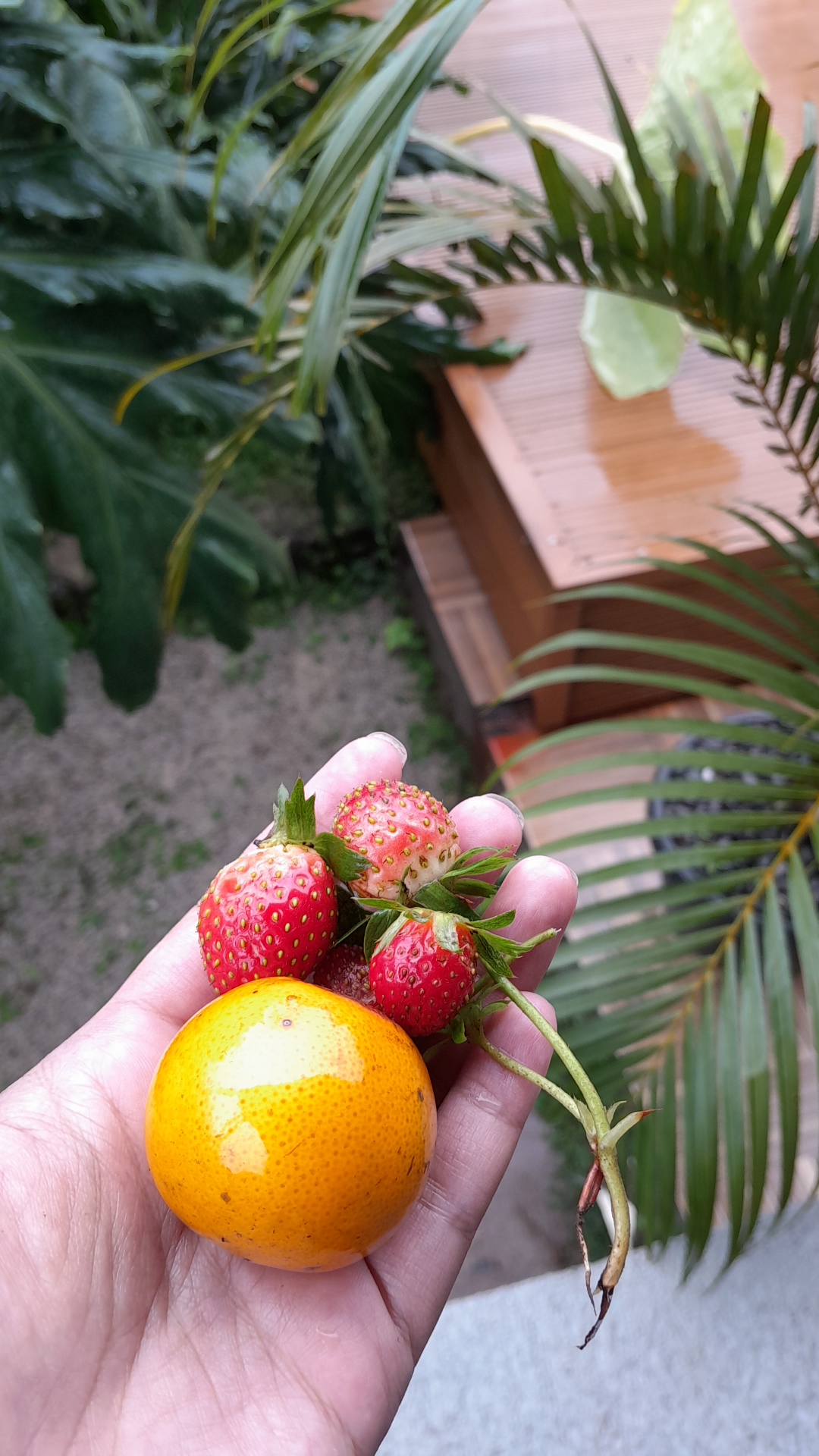 userImage-1