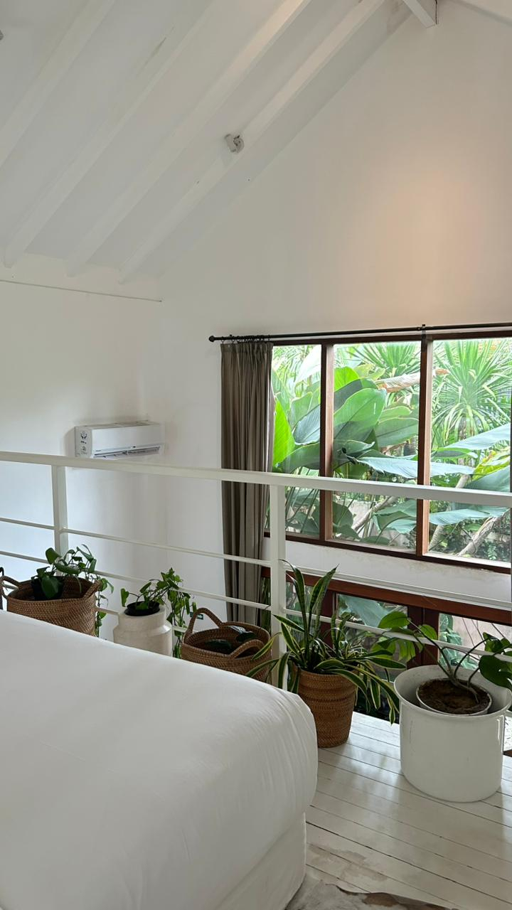 userImage-1