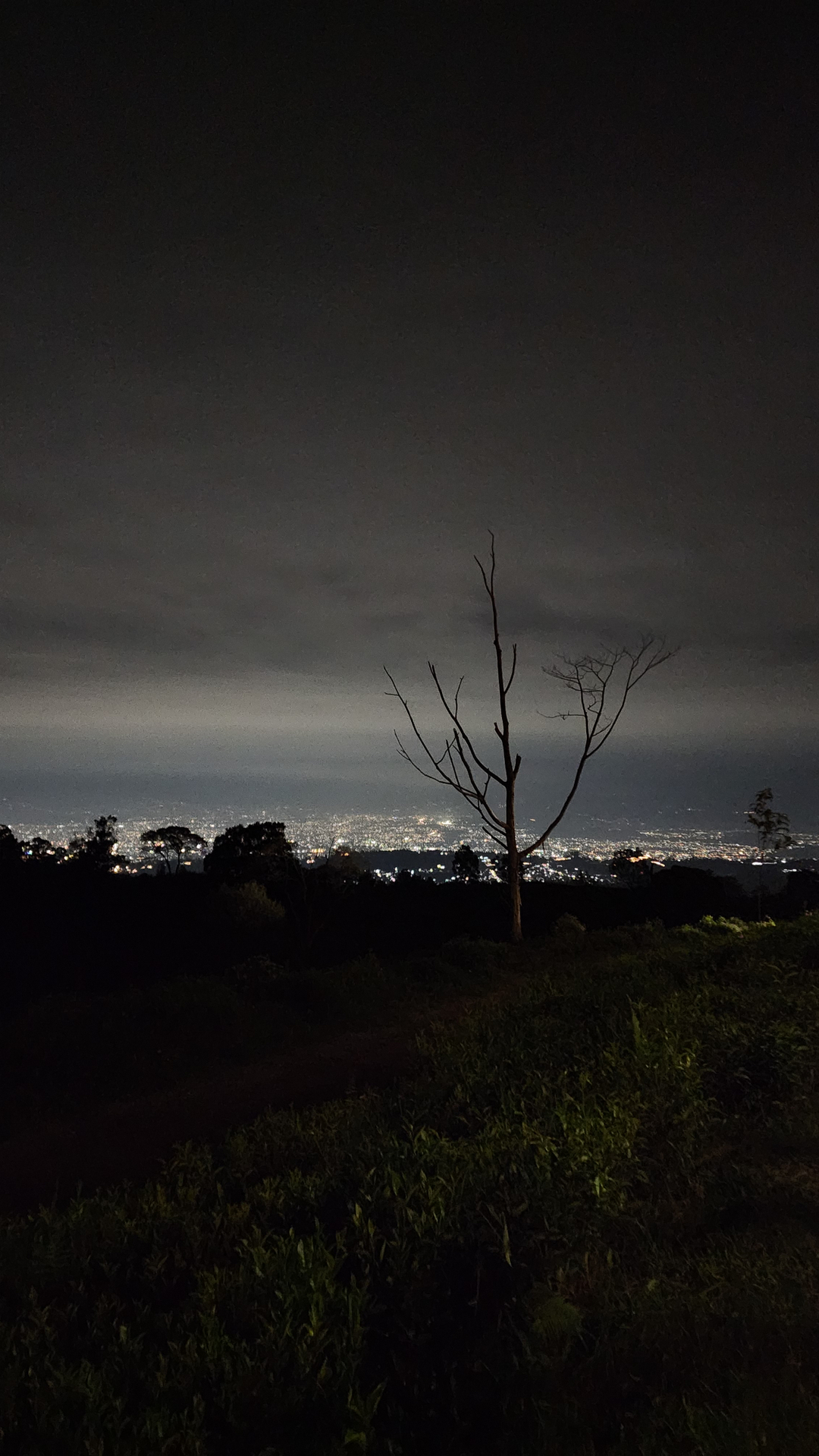 userImage-15