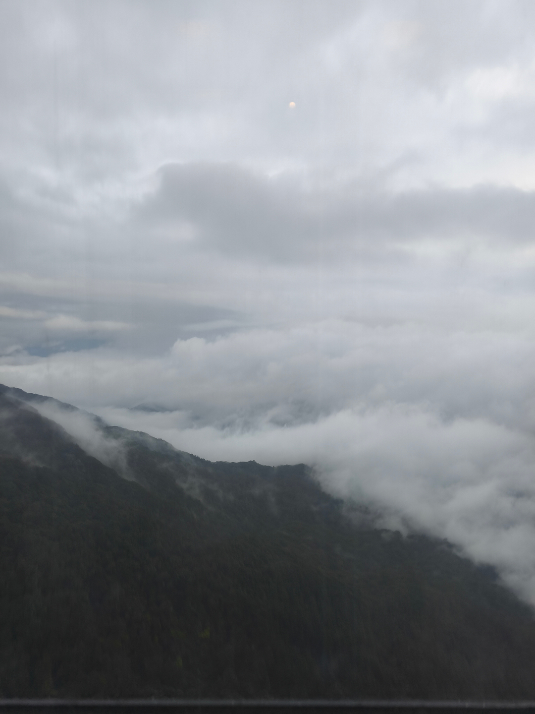 userImage-10