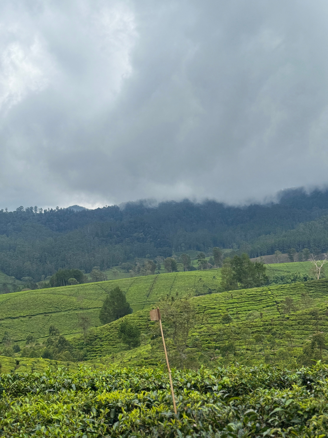 userImage-10