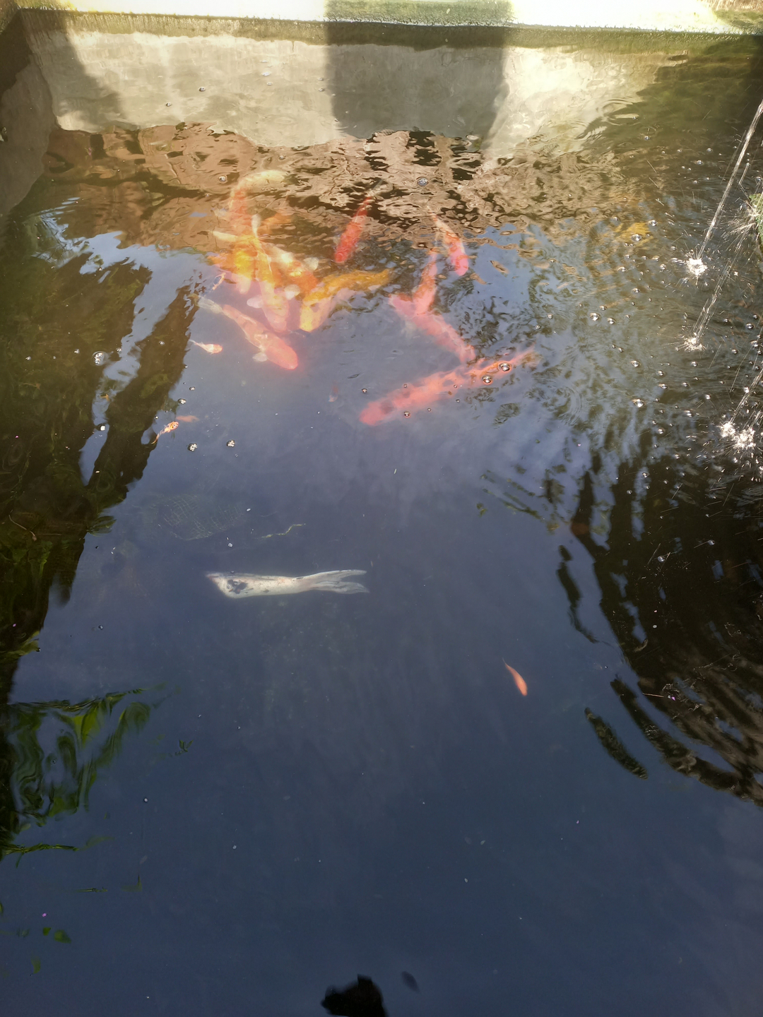userImage-13