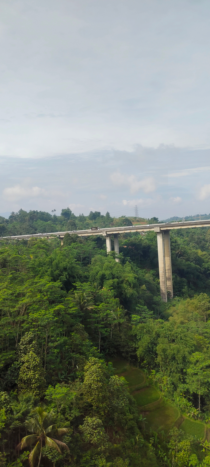 userImage-2