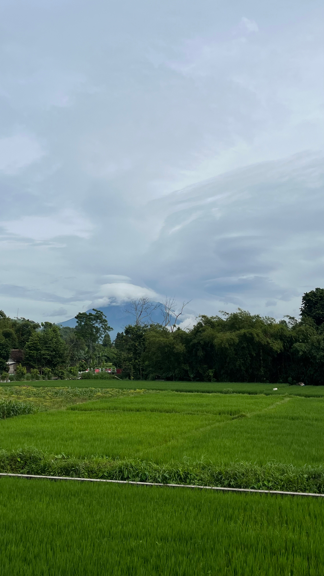 userImage-5
