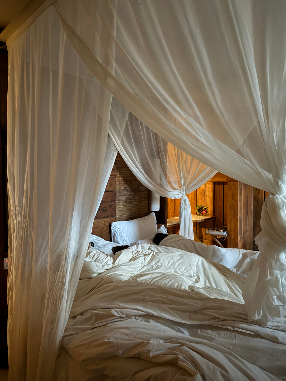 userImage-6