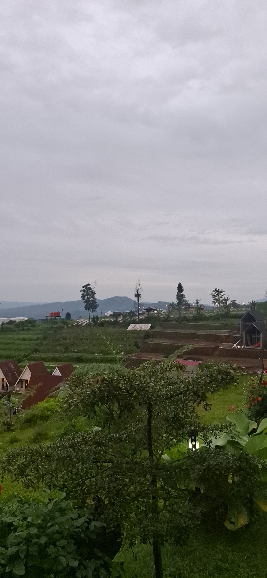 userImage-3