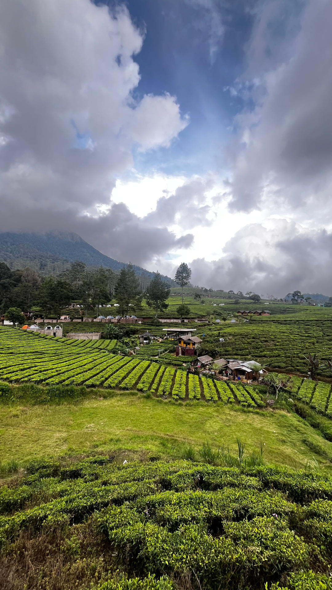 userImage-9
