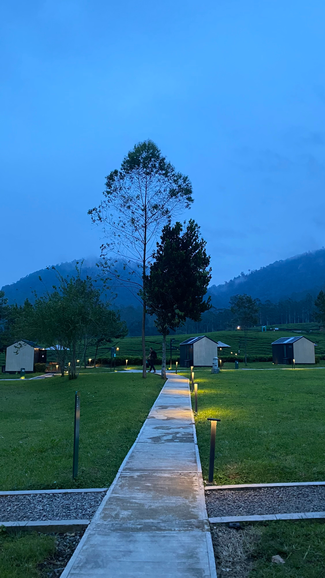 userImage-17