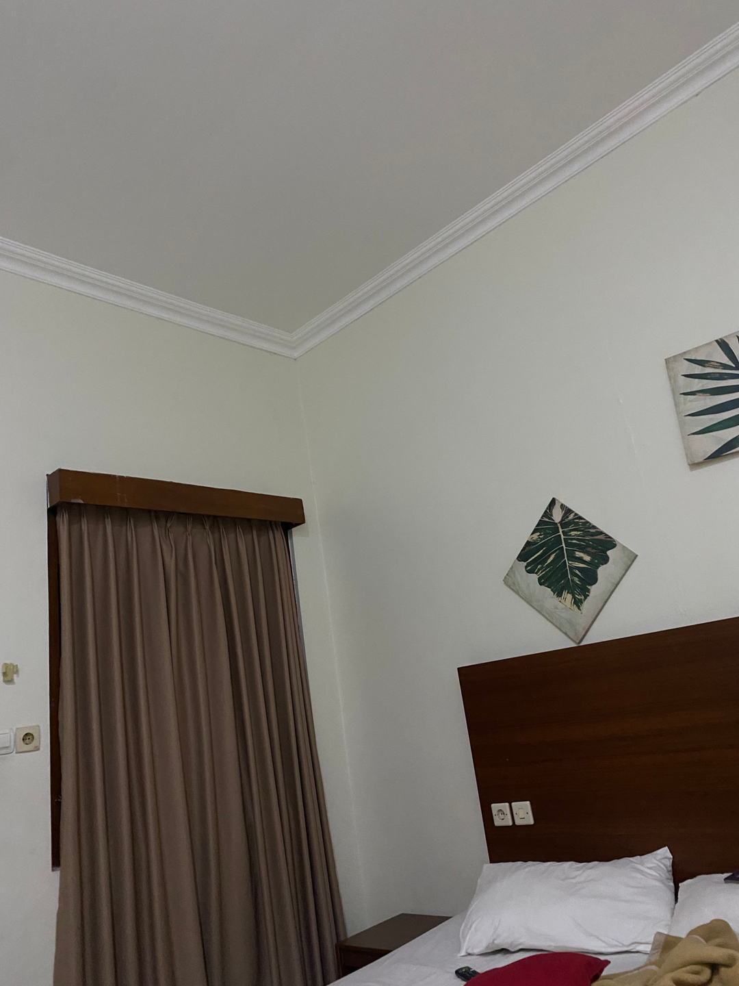 userImage-1