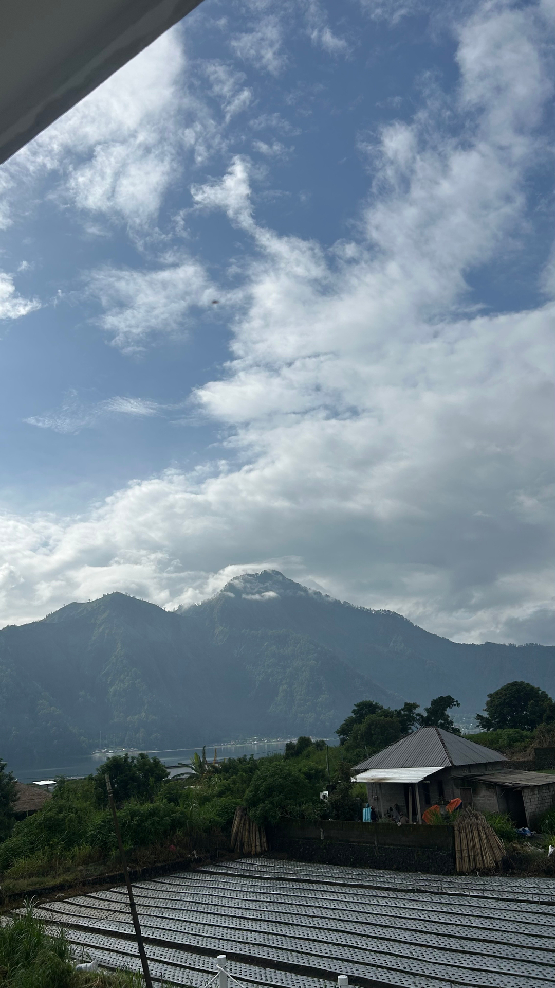 userImage-1