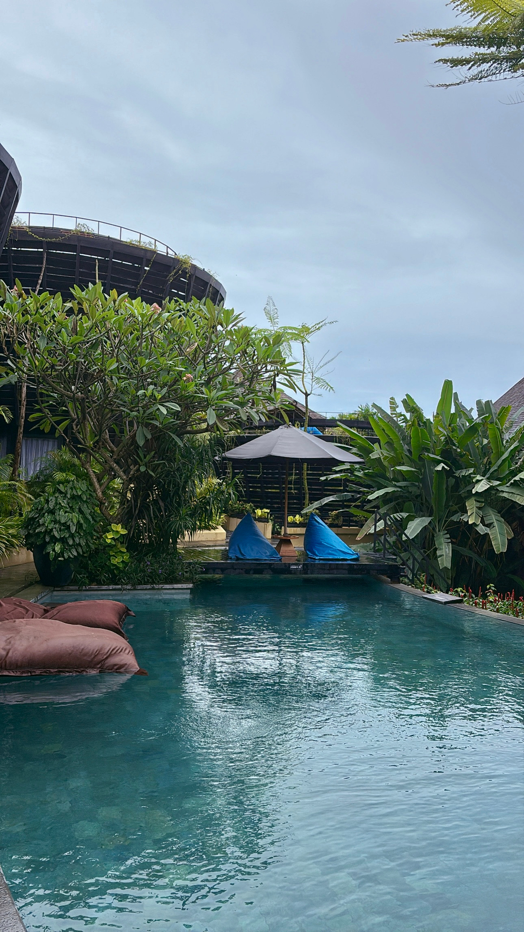 userImage-1