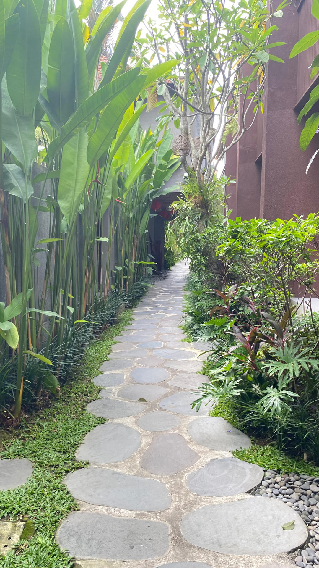 userImage-1