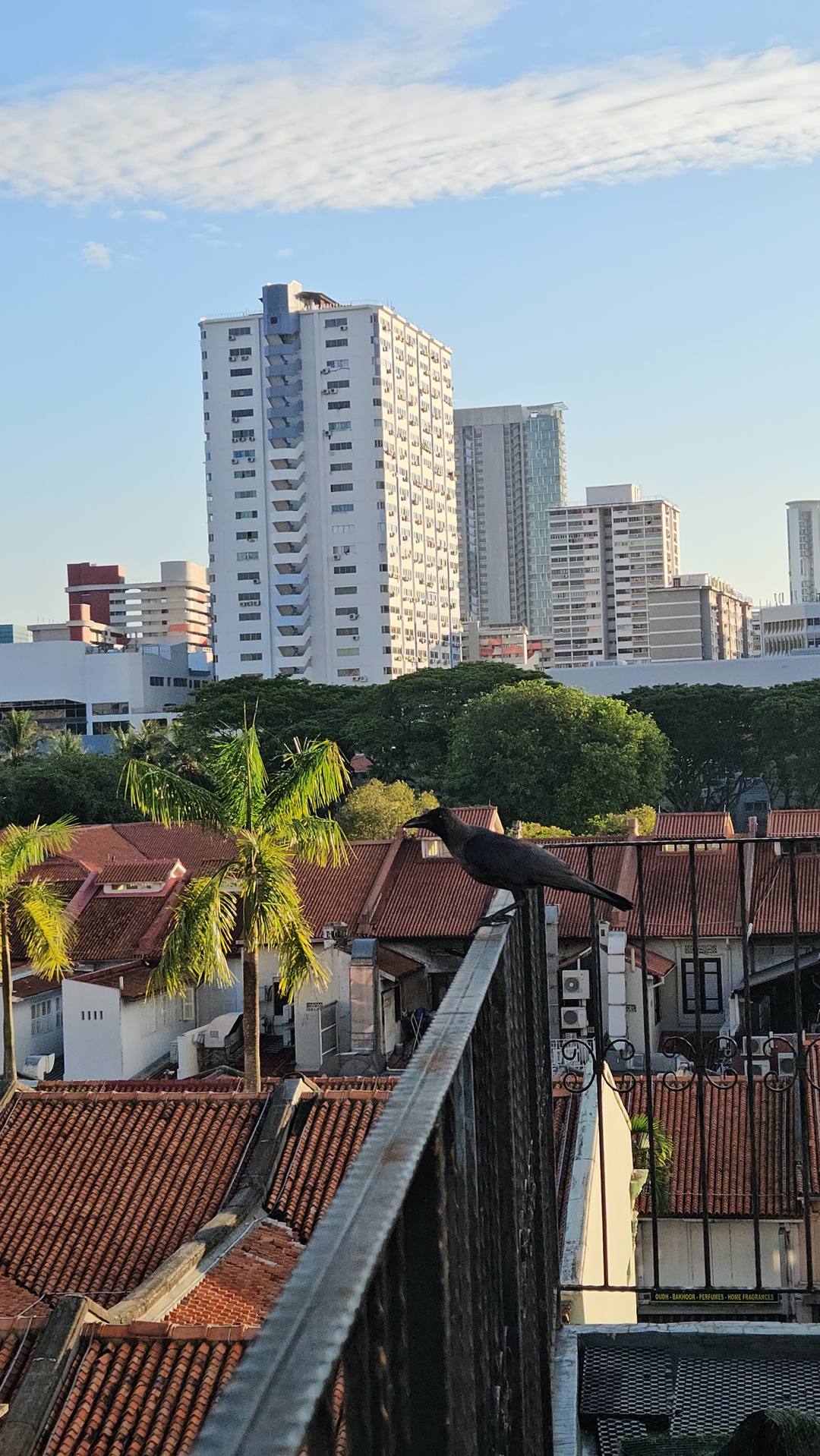 userImage-3