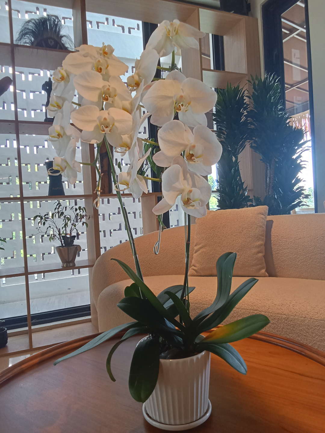 userImage-16